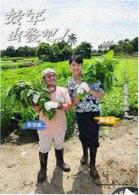 木纹灯下综艺条目封面占位图